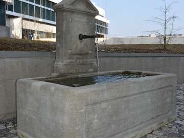 Brunnen aus Mägenwiler Muschelkalk