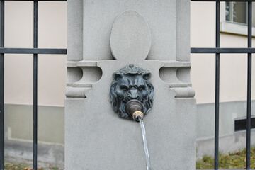 Löwenkopfbrunnen 