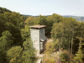 Burgruine Alt-Wülflingen